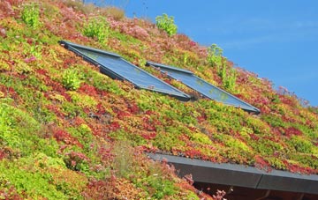 Nazeing Long Green living roof systems